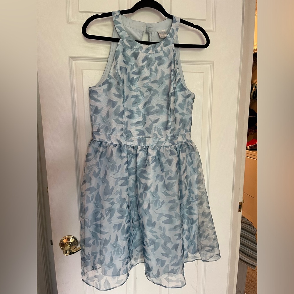 Cinderella collection Elegant Blue floral Dress